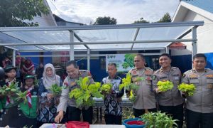 IMG-20241223-WA0064