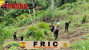 IMG-20260215-WA0003