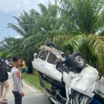 IMG-20260511-WA0028
