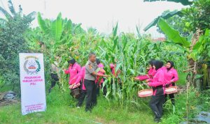 IMG-20260812-WA0019